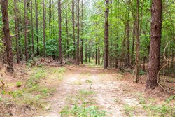 property photo for Whiskey Ridge Tract 29, 14.57 acres for sale in Henderson County, Tennessee