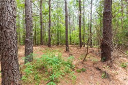 property photo for Whiskey Ridge Tract 29, 14.57 acres for sale in Henderson County, Tennessee