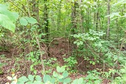 property photo for Whiskey Ridge Tract 4, 6.01 acres for sale in Henderson County, Tennessee