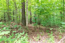 property photo for Whiskey Ridge Tract 4, 6.01 acres for sale in Henderson County, Tennessee