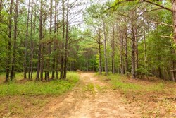 property photo for Whiskey Ridge Tract 73, 8.64 acres for sale in Henderson County, Tennessee