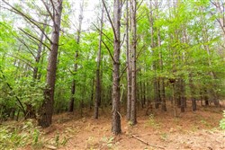 property photo for Whiskey Ridge Tract 73, 8.64 acres for sale in Henderson County, Tennessee
