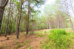property photo for Whiskey Ridge Tract 73, 8.64 acres for sale in Henderson County, Tennessee