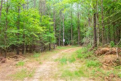 property photo for Whiskey Ridge Tract 83, 10.83 acres for sale in Henderson County, Tennessee
