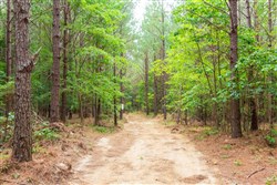 property photo for Whiskey Ridge Tract 86, 11.33 acres for sale in Henderson County, Tennessee