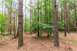 property photo for Whiskey Ridge Tract 86, 11.33 acres for sale in Henderson County, Tennessee