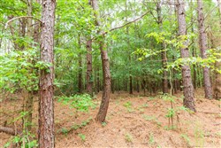 property photo for Whiskey Ridge Tract 86, 11.33 acres for sale in Henderson County, Tennessee