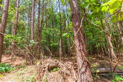 property photo for Whiskey Ridge Tract 90, 9.42 acres for sale in Henderson County, Tennessee