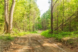 property photo for Whiskey Ridge Tract 91, 9.45 acres for sale in Henderson County, Tennessee