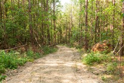 property photo for Whiskey Ridge Tract 91, 9.45 acres for sale in Henderson County, Tennessee