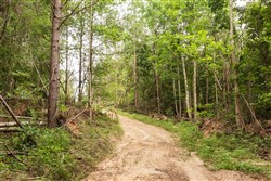 property photo for Whiskey Ridge Tract 93, 13.75 acres for sale in Henderson County, Tennessee