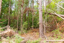 property photo for Whiskey Ridge Tract 93, 13.75 acres for sale in Henderson County, Tennessee