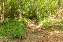 property photo for Whiskey Ridge Tract 97, 5.78 acres for sale in Henderson County, Tennessee