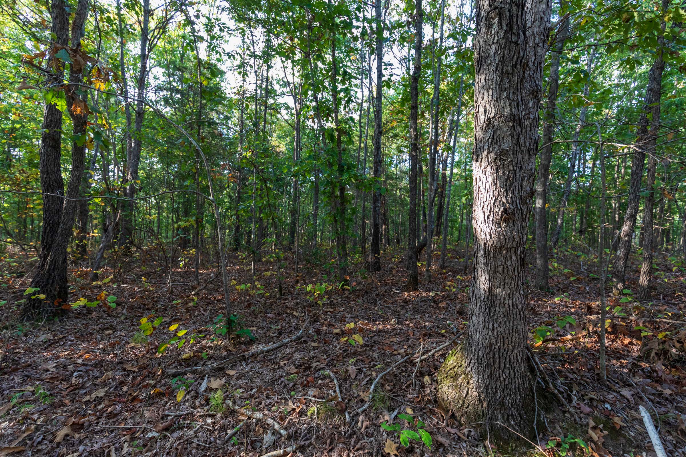 Tract 8 at Bear Brook in Perry County, Tennessee