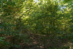 property photo for Big White Oak Tract 102, 5.43 acres for sale in Perry County, Tennessee