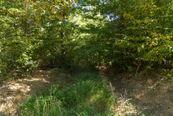 property photo for Big White Oak Tract 102, 5.43 acres for sale in Perry County, Tennessee
