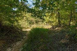 property photo for Big White Oak Tract 102, 5.43 acres for sale in Perry County, Tennessee