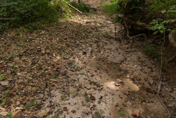 property photo for Big White Oak Tract 102, 5.43 acres for sale in Perry County, Tennessee