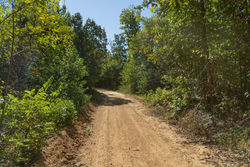 property photo for Big White Oak Tract 102, 5.43 acres for sale in Perry County, Tennessee