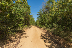 property photo for Big White Oak Tract 102, 5.43 acres for sale in Perry County, Tennessee