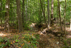 property photo for Big White Oak Tract 102, 5.43 acres for sale in Perry County, Tennessee