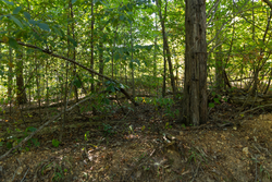 property photo for Big White Oak Tract 102, 5.43 acres for sale in Perry County, Tennessee
