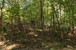 property photo for Big White Oak Tract 102, 5.43 acres for sale in Perry County, Tennessee