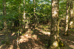 property photo for Big White Oak Tract 109, 14.07 acres for sale in Perry County, Tennessee