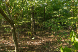 property photo for Big White Oak Tract 109, 14.07 acres for sale in Perry County, Tennessee