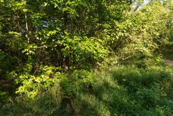 property photo for Big White Oak Tract 109, 14.07 acres for sale in Perry County, Tennessee