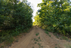 property photo for Big White Oak Tract 109, 14.07 acres for sale in Perry County, Tennessee