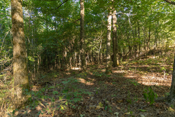 property photo for Big White Oak Tract 109, 14.07 acres for sale in Perry County, Tennessee