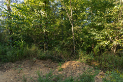 property photo for Big White Oak Tract 109, 14.07 acres for sale in Perry County, Tennessee