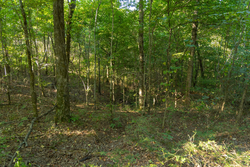 property photo for Big White Oak Tract 109, 14.07 acres for sale in Perry County, Tennessee