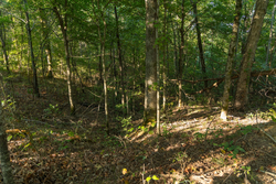 property photo for Big White Oak Tract 109, 14.07 acres for sale in Perry County, Tennessee