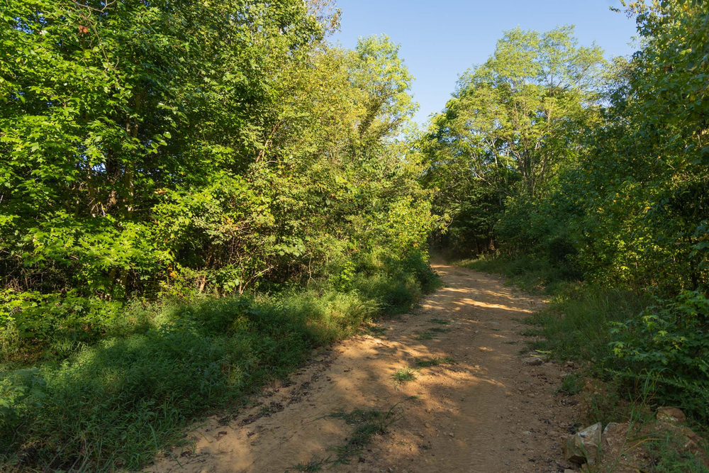 14.07 acre rural land tract for sale at Big White Oak Tract 109 in Perry County, Tennessee