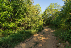 property photo for Big White Oak Tract 109, 14.07 acres for sale in Perry County, Tennessee