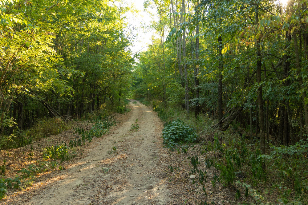 8.51 acre rural land tract for sale at Big White Oak Tract 111 in Perry County, Tennessee
