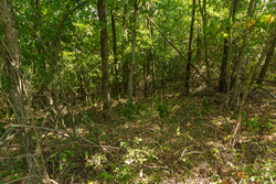 property photo for Big White Oak Tract 112, 8.71 acres for sale in Perry County, Tennessee
