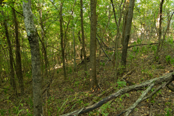 property photo for Big White Oak Tract 112, 8.71 acres for sale in Perry County, Tennessee