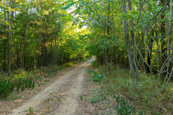 property photo for Big White Oak Tract 112, 8.71 acres for sale in Perry County, Tennessee