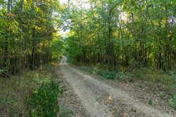 property photo for Big White Oak Tract 112, 8.71 acres for sale in Perry County, Tennessee