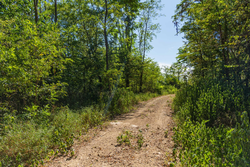 property photo for Big White Oak Tract 112, 8.71 acres for sale in Perry County, Tennessee