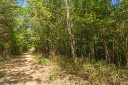 property photo for Big White Oak Tract 112, 8.71 acres for sale in Perry County, Tennessee