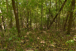 property photo for Big White Oak Tract 112, 8.71 acres for sale in Perry County, Tennessee