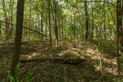 property photo for Big White Oak Tract 112, 8.71 acres for sale in Perry County, Tennessee