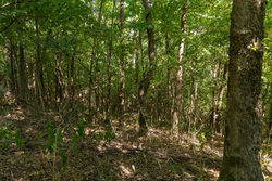property photo for Big White Oak Tract 112, 8.71 acres for sale in Perry County, Tennessee