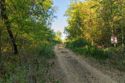 property photo for Big White Oak Tract 112, 8.71 acres for sale in Perry County, Tennessee