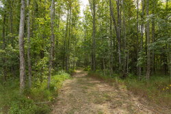 property photo for Big White Oak Tract 113, 8.22 acres for sale in Perry County, Tennessee