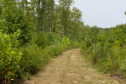 property photo for Big White Oak Tract 113, 8.22 acres for sale in Perry County, Tennessee